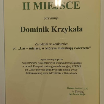 Zdjęcie dyplomu