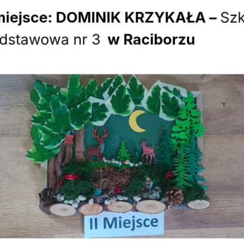 Zdjęcie dyplomu